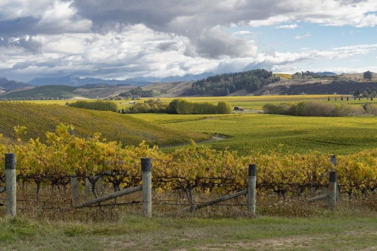 Photo of property in 127 Fairbourne Drive, Fairhall, Blenheim, 7272