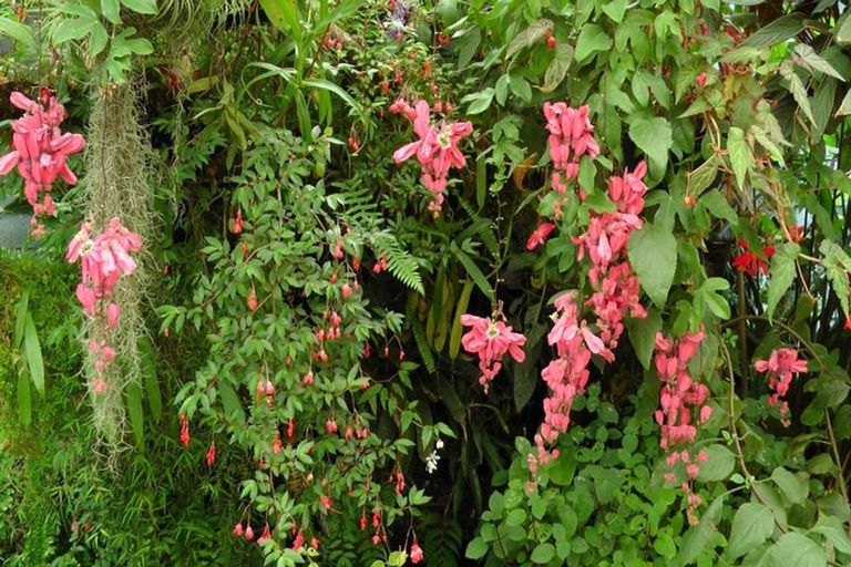 Photo of property in 103 Block Road, Hikutaia, Paeroa, 3674