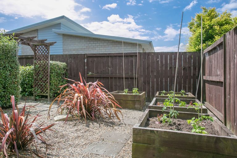 Photo of property in 19 Carnation Court, Cambridge, 3434