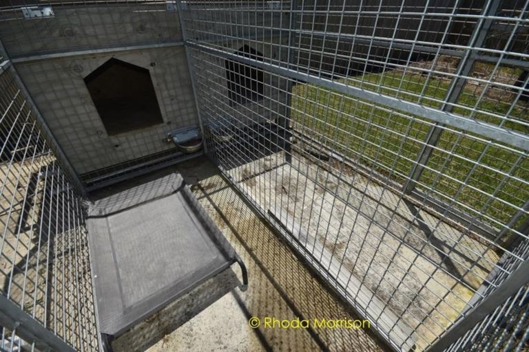 Photo of property in 88 Komiti Road, Tinopai, Matakohe, 0593