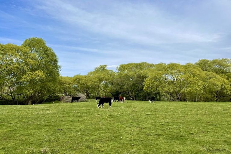 Photo of property in 88 Maytown Road, Waimate, 7978