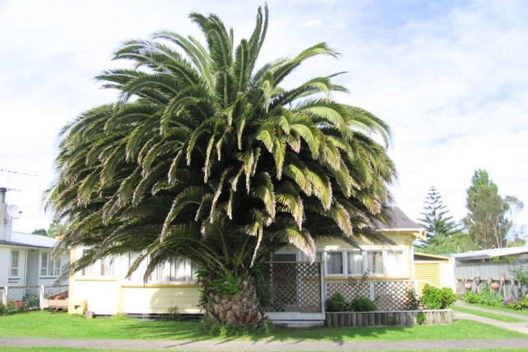 Photo of property in 6 Walsh Street, Mangapapa, Gisborne, 4010