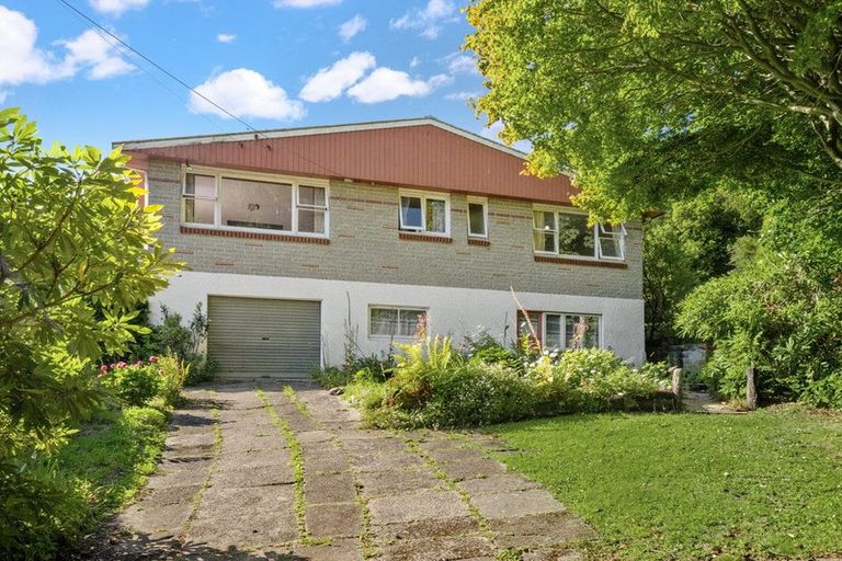 Photo of property in 87 Kaikorai Valley Road, Glenross, Dunedin, 9011