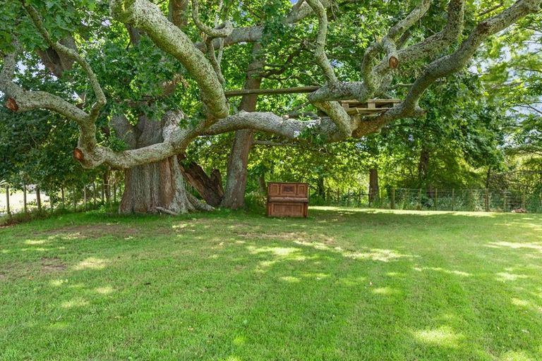 Photo of property in 38 Ritchie Street, Te Aroha, 3320