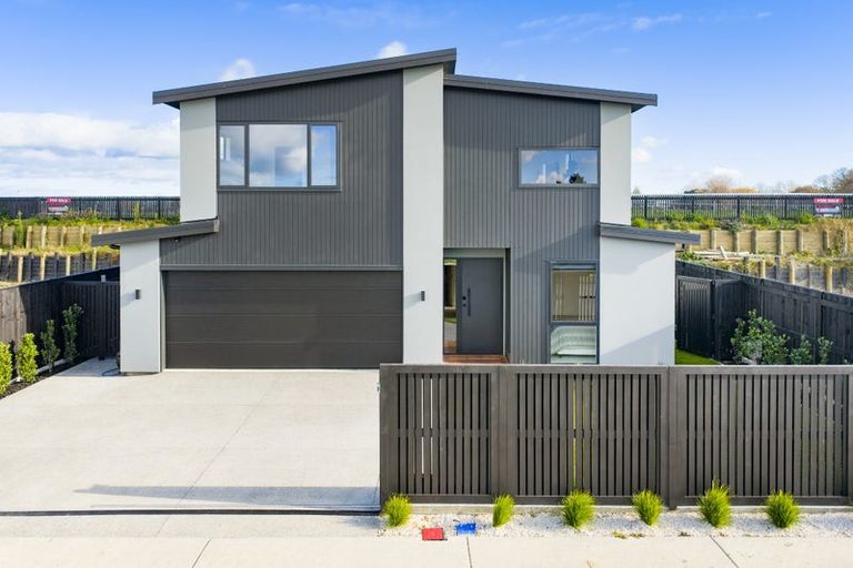 Photo of property in 11 Mangatainoka Lane, Awapuni, Palmerston North, 4412