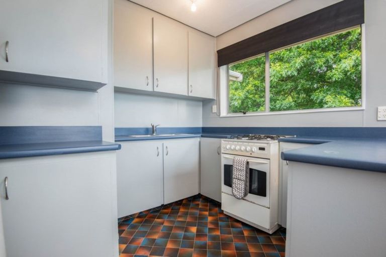 Photo of property in 103 Stafford Street, Dunedin Central, Dunedin, 9016