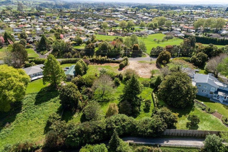 Photo of property in 288 Cambridge Road, Bethlehem, Tauranga, 3110