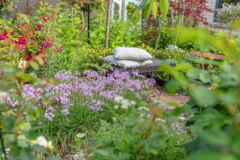 Photo of property in 9 Parkwood Place, Papamoa Beach, Papamoa, 3118