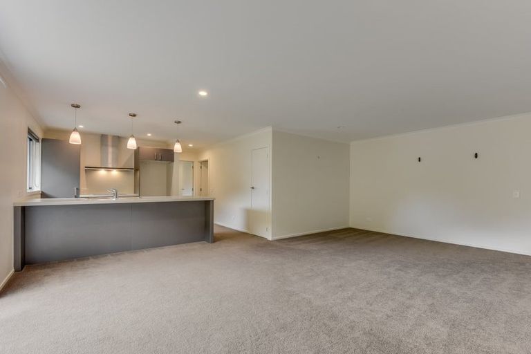 Photo of property in 336 Brook Street, The Brook, Nelson, 7010