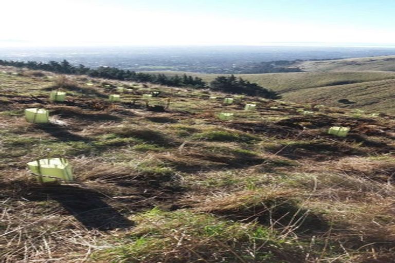 Photo of property in 231 Huntsbury Avenue, Cashmere, Christchurch, 8022