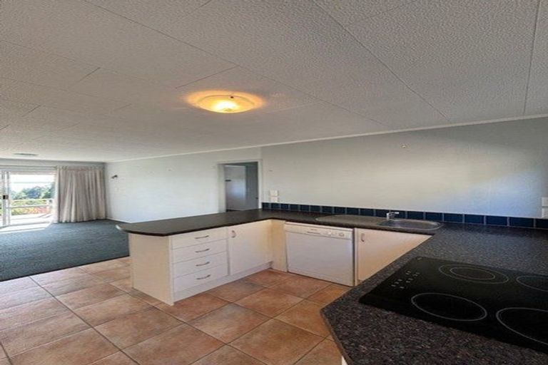 Photo of property in 289 Pahoia Road, Whakamarama, Tauranga, 3172