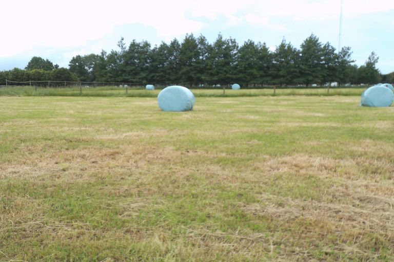 Photo of property in 65a Davison Road, Newstead, Hamilton, 3286