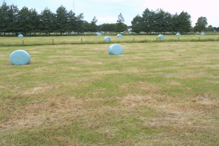 Photo of property in 65a Davison Road, Newstead, Hamilton, 3286