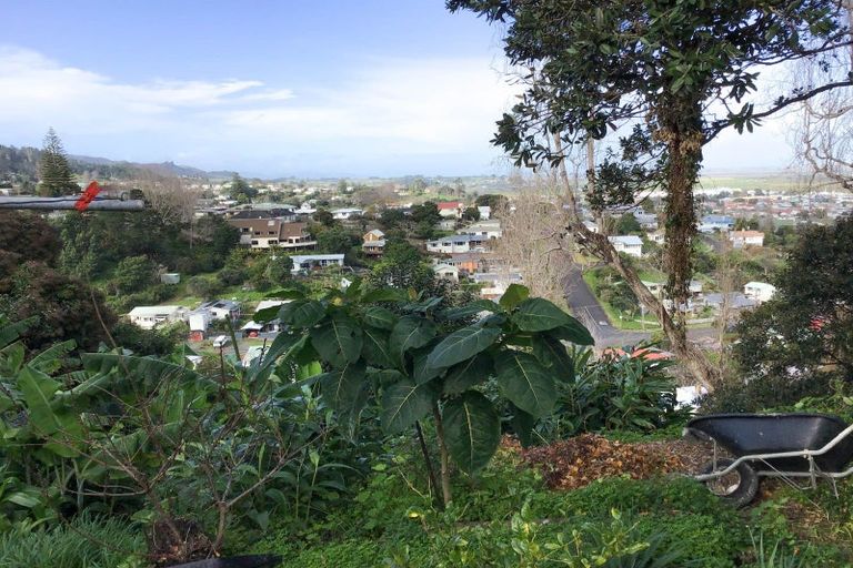 Photo of property in 119 Irishtown Road, Thames, 3500