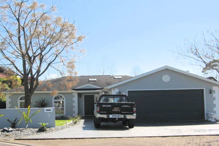 Photo of property in 3 Croydon Place, Bethlehem, Tauranga, 3110