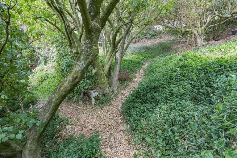 Photo of property in 45 Farnham Street, Mornington, Wellington, 6021