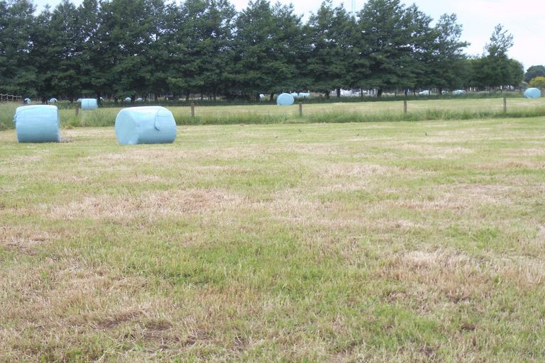 Photo of property in 65a Davison Road, Newstead, Hamilton, 3286