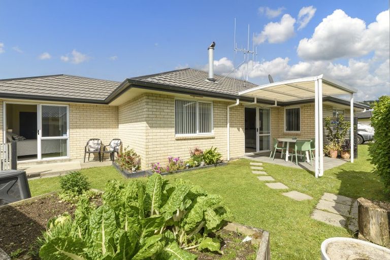Photo of property in 68a Solomon Street, Brookfield, Tauranga, 3110