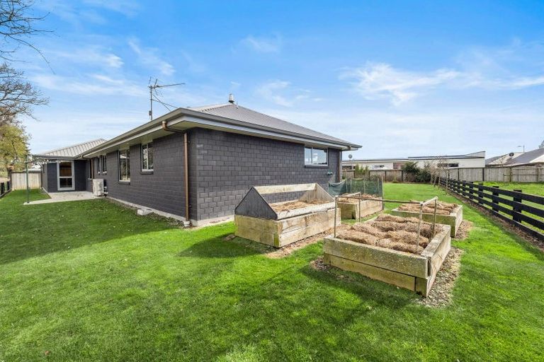 Photo of property in 10 Kelburn Place, Tinwald, Ashburton, 7700