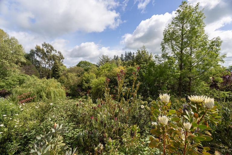 Photo of property in 41 Gaudion Road, Peebles, Oamaru, 9494