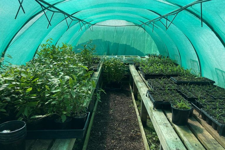 Photo of property in 272 Island Road, Kaiapoi, 7630