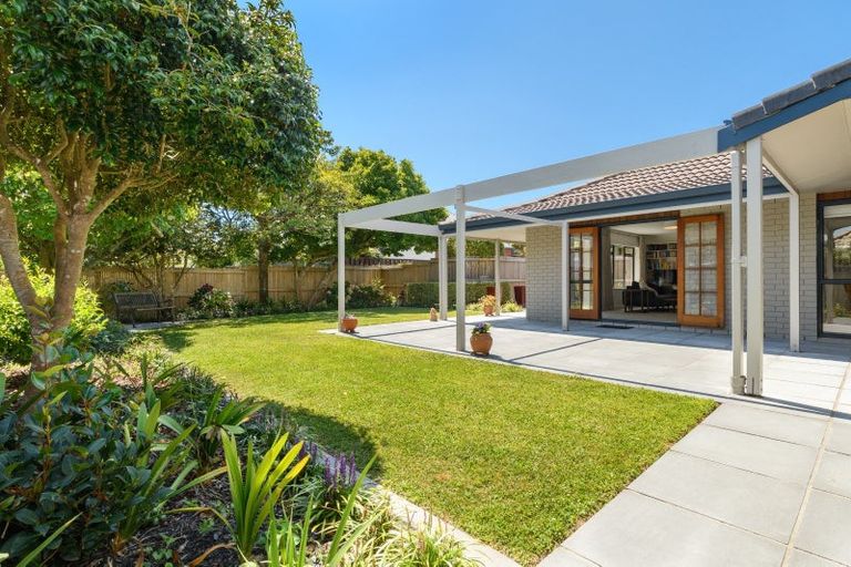 Photo of property in 55 Kings Avenue, Matua, Tauranga, 3110