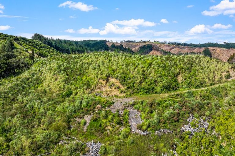 Photo of property in 709 Ahuroa Road, Puhoi, Warkworth, 0981