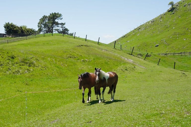 Photo of property in 759 State Highway 1, Wairakei, Taupo, 3384