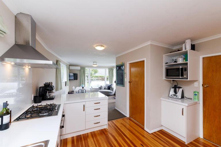 Photo of property in 151 Limbrick Street, Terrace End, Palmerston North, 4410