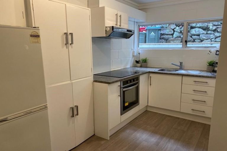 Photo of property in 8 Allen Road, Grey Lynn, Auckland, 1021