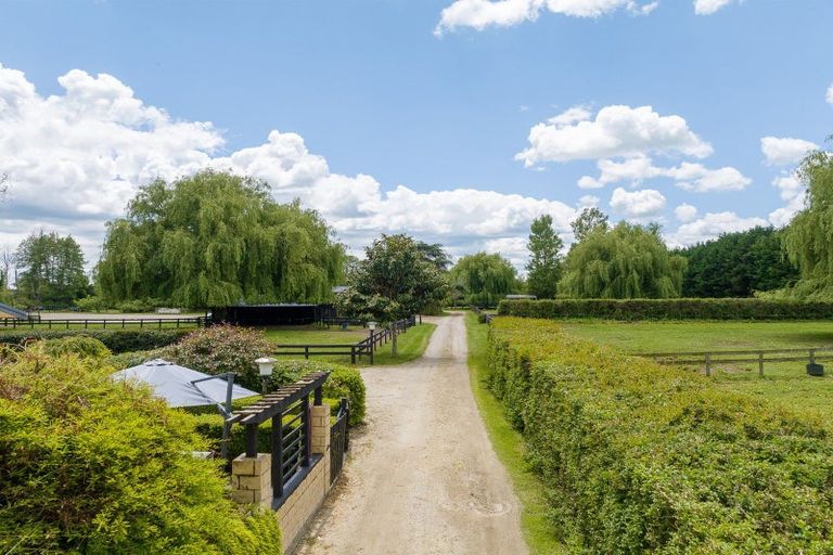 Photo of property in 191 Hautapu Road, Pukemoremore, Cambridge, 3493