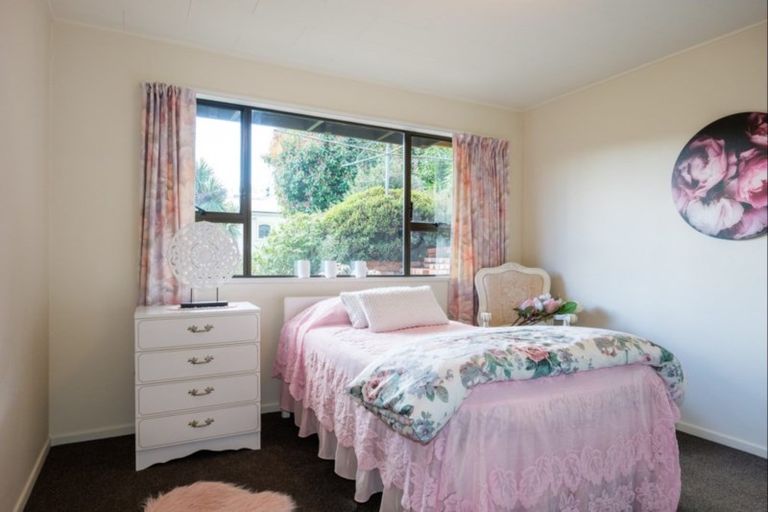 Photo of property in 95 Opoho Road, Opoho, Dunedin, 9010