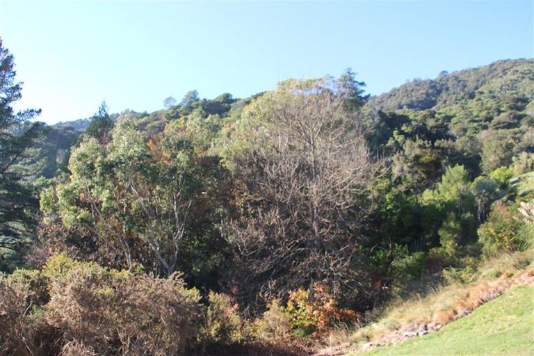 Photo of property in 20 Russell Street, Picton, 7220