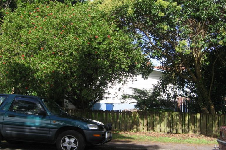Photo of property in 58 Pinedale Place, Henderson, Auckland, 0610