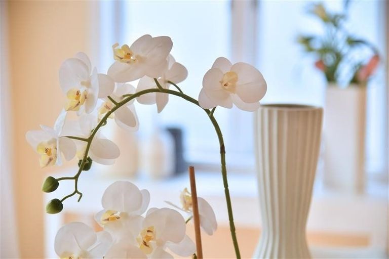 Photo of property in 1/8 Orchard Road, Waiake, Auckland, 0630