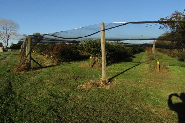 Photo of property in 549a Seddon Road, Gordonton, Hamilton, 3287