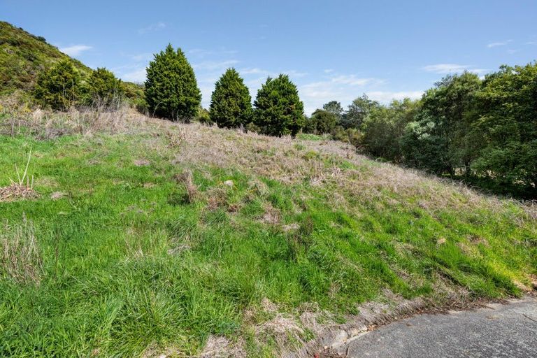 Photo of property in 16 Webster Place, Picton, 7220