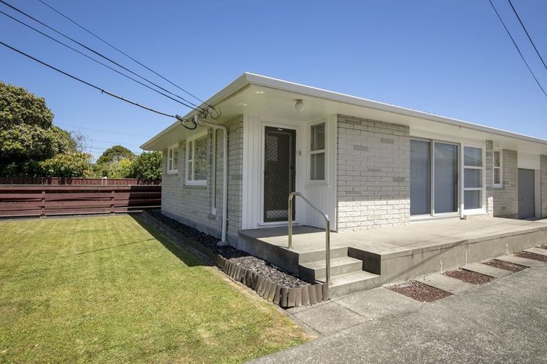 Photo of property in 19 Collingwood Street, Waterloo, Lower Hutt, 5011