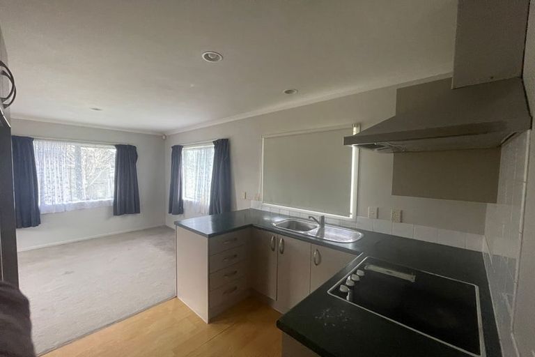 Photo of property in 3 Andrusha Place, Flat Bush, Auckland, 2019