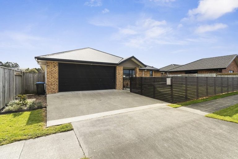Photo of property in 16 Chestnut Close, Kelvin Grove, Palmerston North, 4414