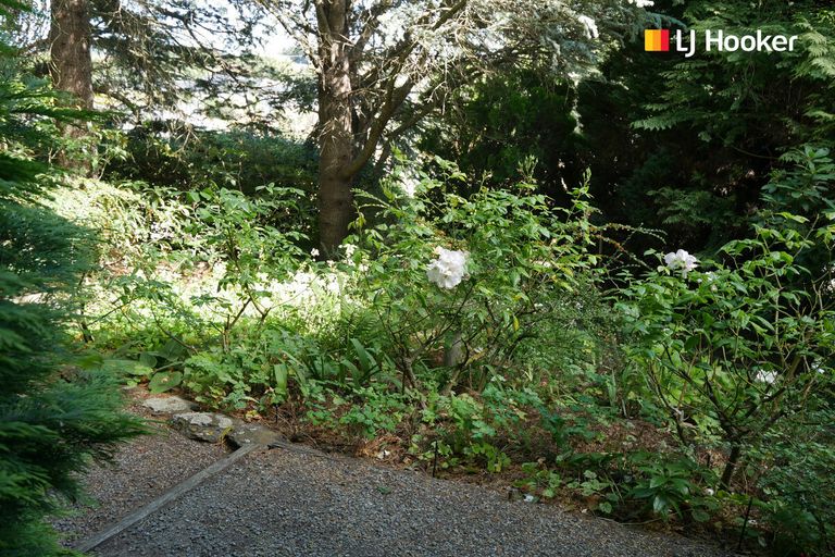 Photo of property in 39 Kirkwall Street, Palmerston, 9430