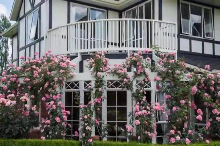 Photo of property in 143 Tirau Road, Cambridge, 3496