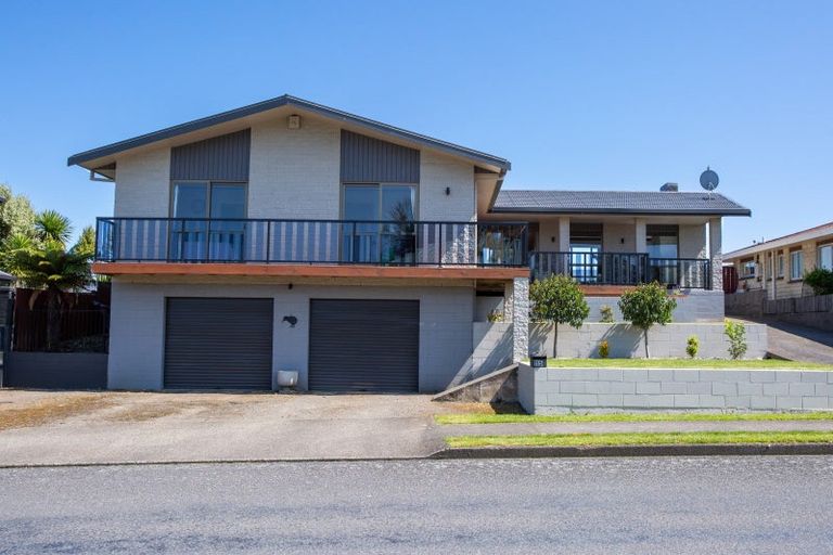 Photo of property in 115 Guy Street, Dannevirke, 4930