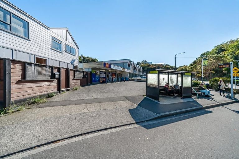 Photo of property in 102 Quebec Street, Kingston, Wellington, 6021