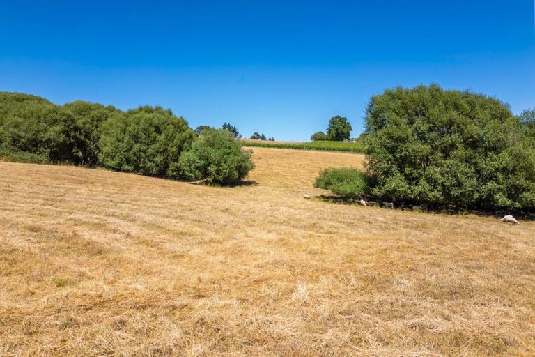 Photo of property in 50 Cliff Road, Tasman, Upper Moutere, 7173