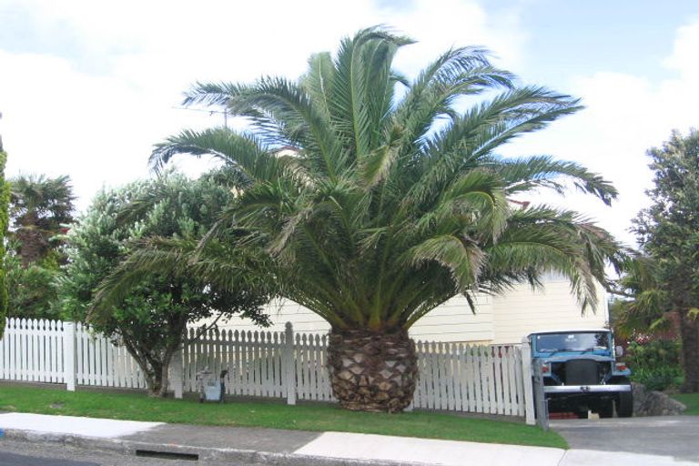 Photo of property in 44 Kandy Crescent, Ngaio, Wellington, 6035