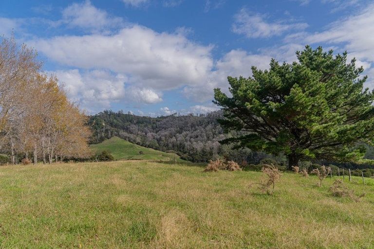 Photo of property in 425n Boat Harbour Road, Whenuakite, Whitianga, 3591