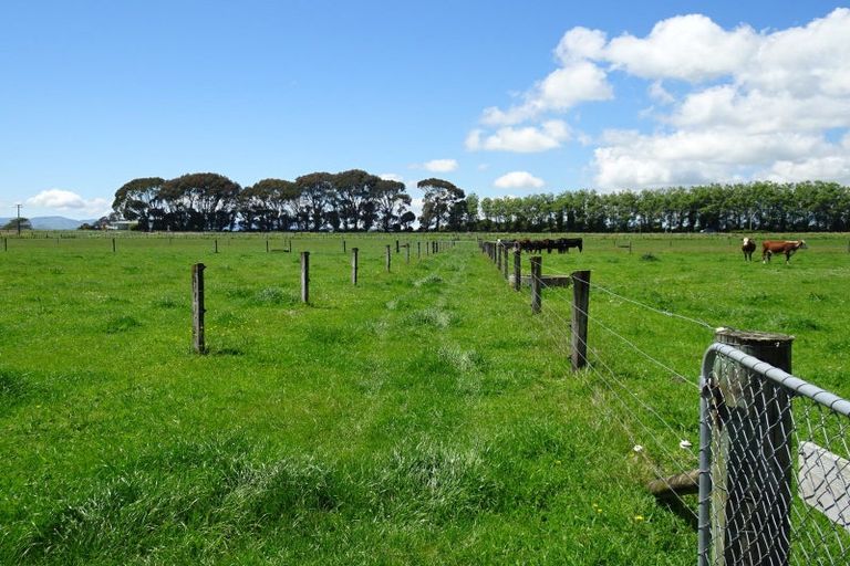 Photo of property in 21 Taylors Road, Mangatainoka, Woodville, 4999