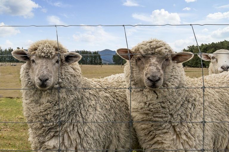 Photo of property in 179 Riverside Road, Okuku, Rangiora, 7473