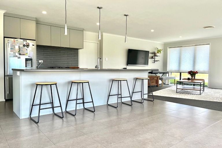 Photo of property in 392 Aka Aka Road, Aka Aka, Pukekohe, 2678